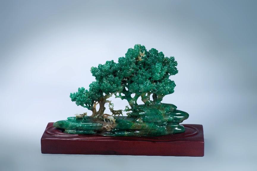 image12.jpg